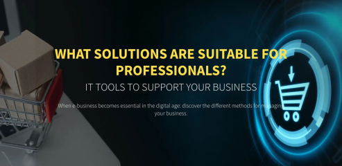 https://www.softwarebusinesssolution.com