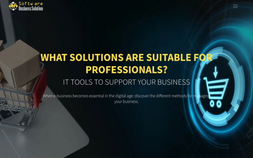 https://www.softwarebusinesssolution.com