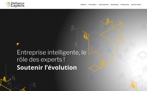 https://www.intelligence-experts.fr